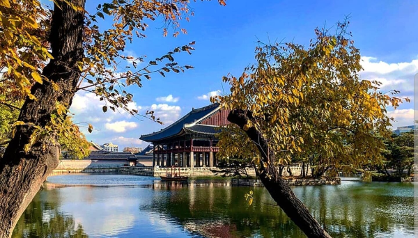 경복궁 야간개장