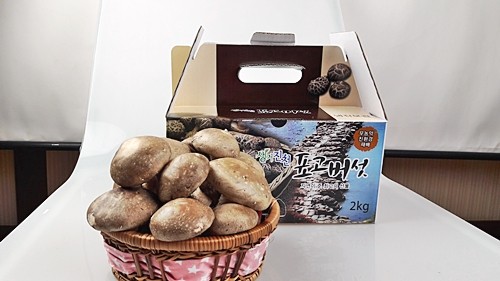 오늘N 2540회 가족이 뭐길래 드림버섯농장 표고버섯, 노루궁뎅이버섯, 녹각영지버섯까지 건강한 먹거리 주문방법