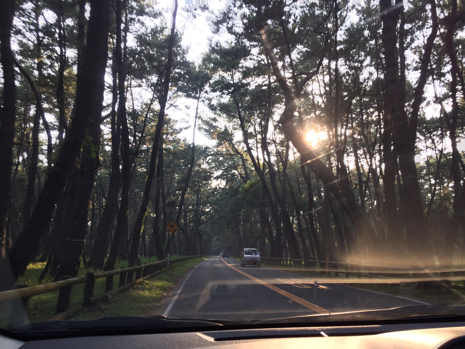 니지노마쓰바라를 달리며 촬영한 사진