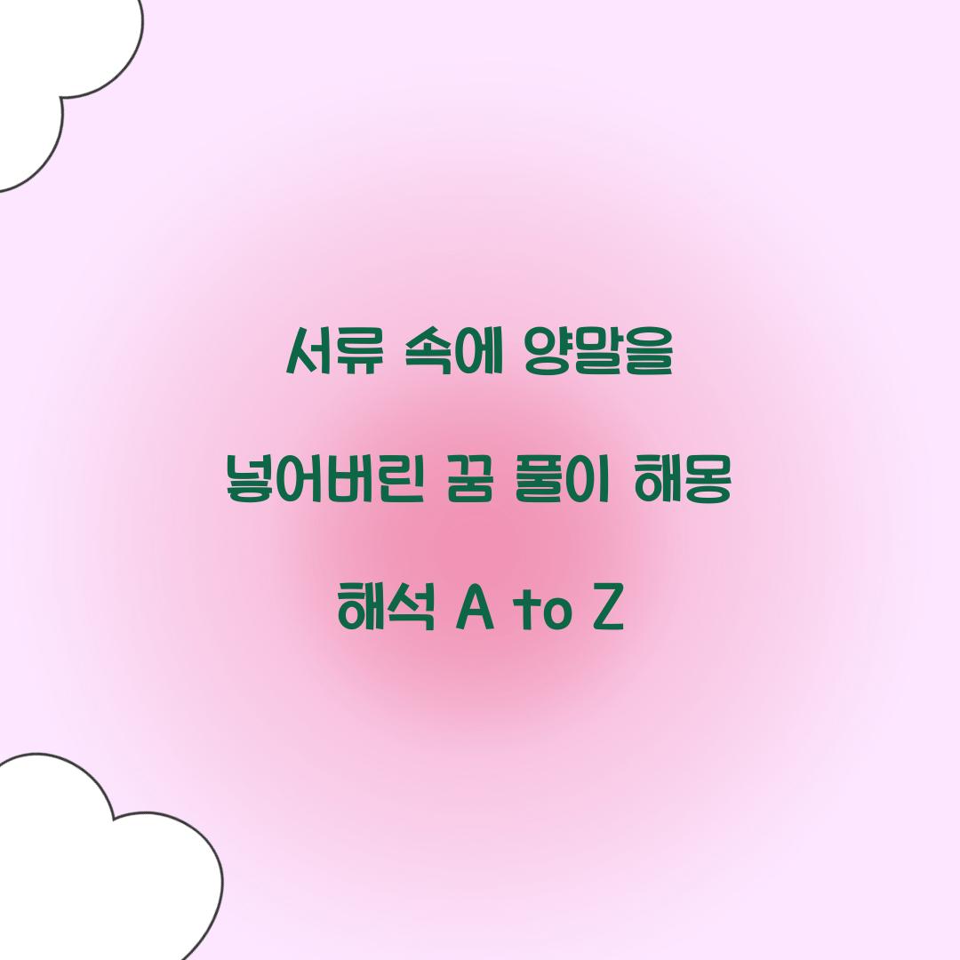 서류 속에 양말을 넣어버린 꿈 풀이 해몽 해석