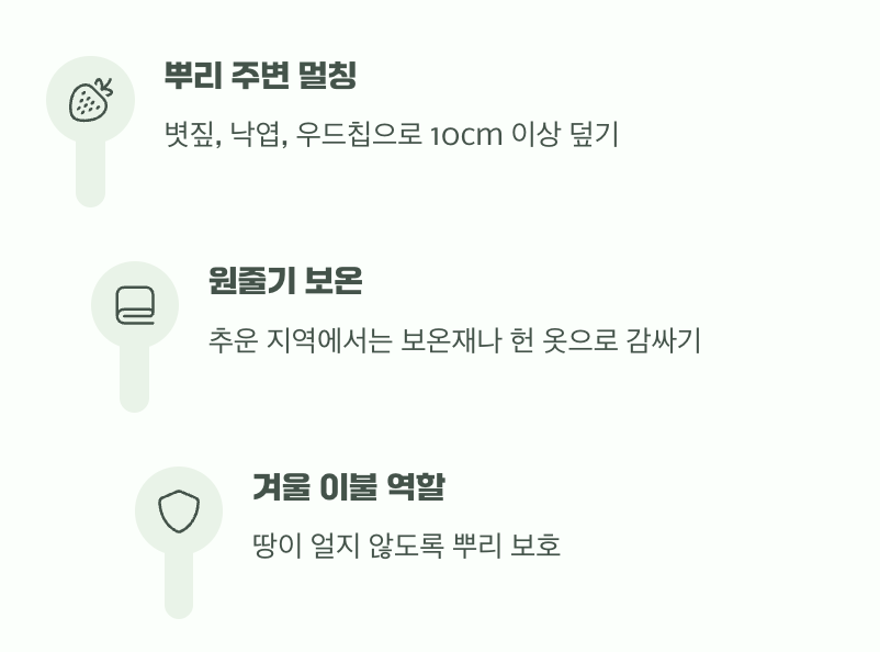 비결 5. 든든한 방패&amp;#44; &amp;#39;첫겨울&amp;#39;을 지켜주세요