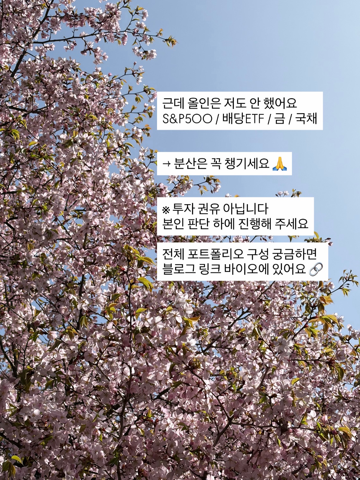KODEX 미국나스닥100 ETF, ISA 계좌에서 사는 법과 내가 45% 담은 이유