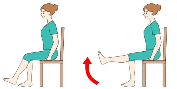 대퇴사두근트레이닝