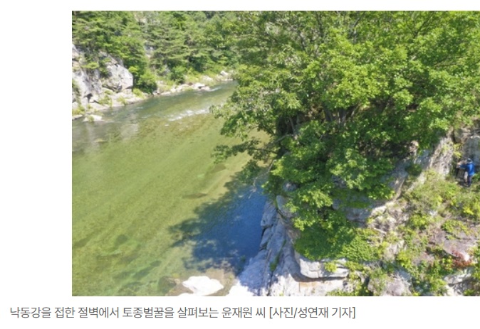 -봉화-토종벌꿀-윤재원