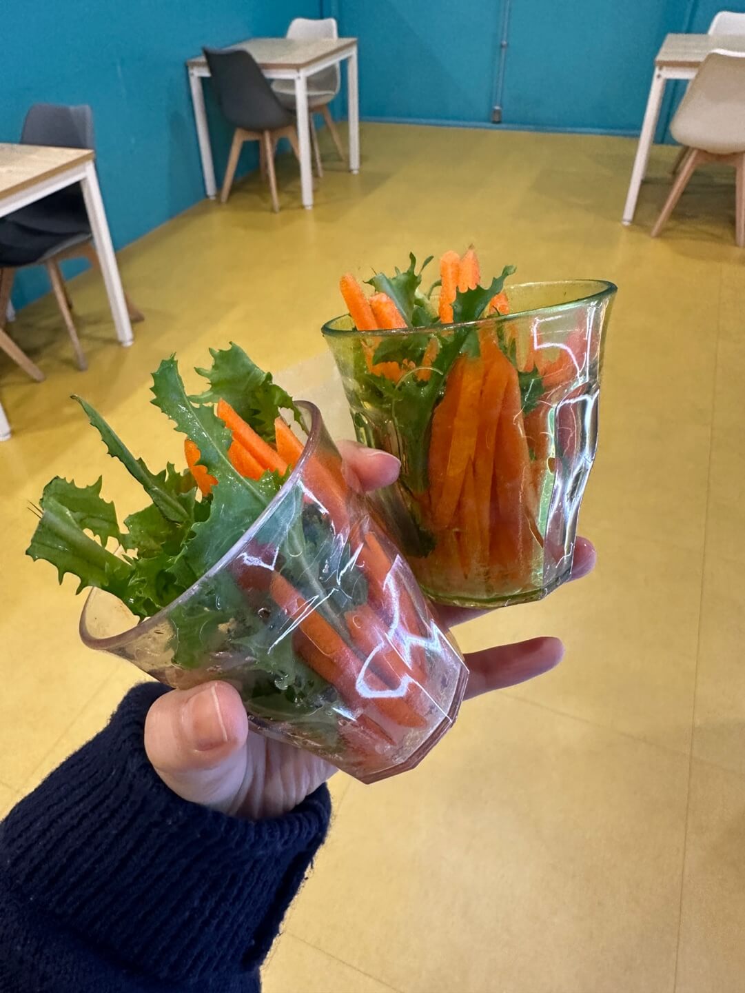 하이브 패밀리 테마파크 동물 먹이