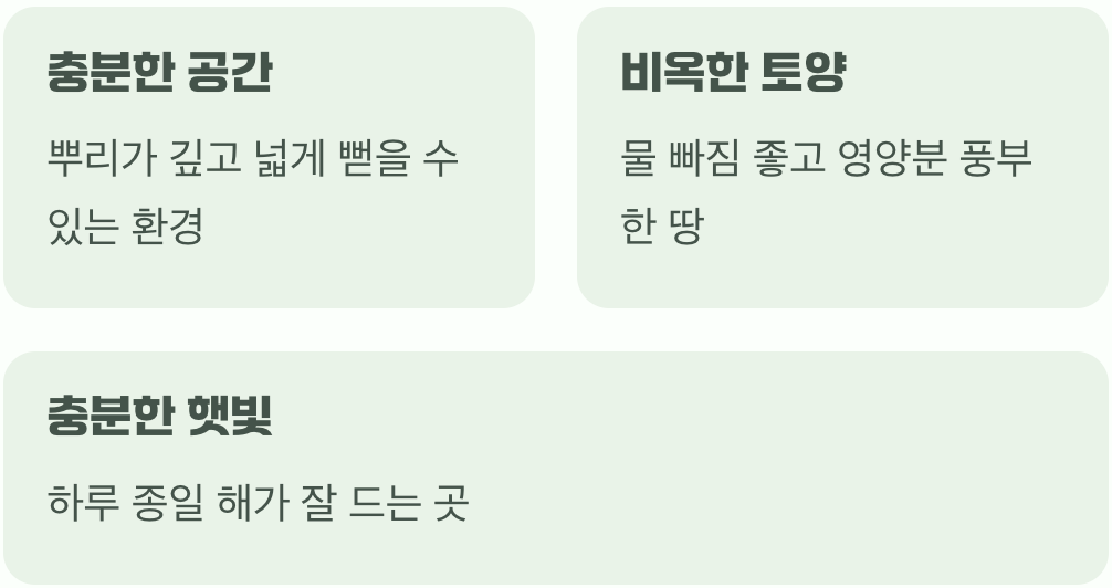 성장을 결정하는 가장 중요한 요소