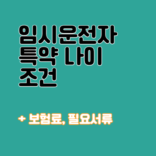 임시운전자 특약 운전 가능 나이