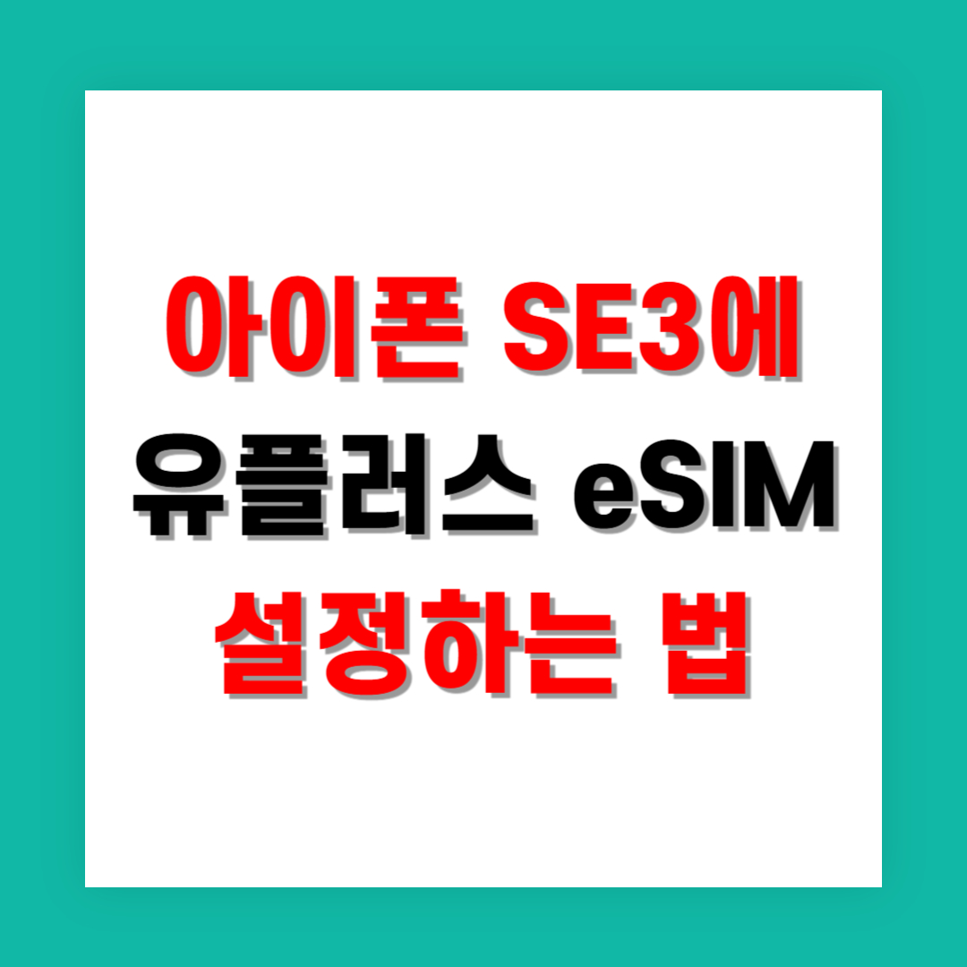 아이폰 SE3에 유플러스 eSIM 설정하는 법
