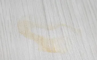 장판 이염 제거 매직블록과 알코올 적정 사용법_22