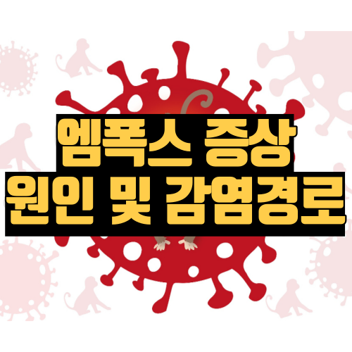 엠폭스 증상 및 원인