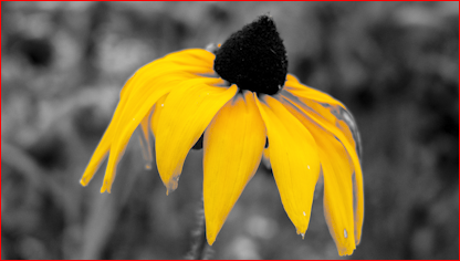 적용 후 이미지