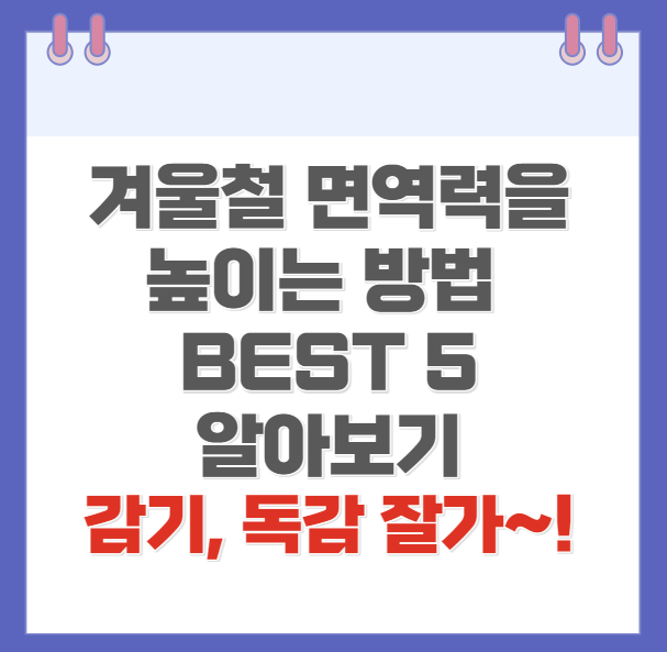 겨울철면역력높이는방법5가지