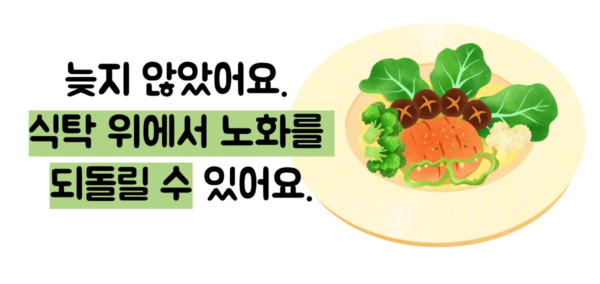 저속노화 식단