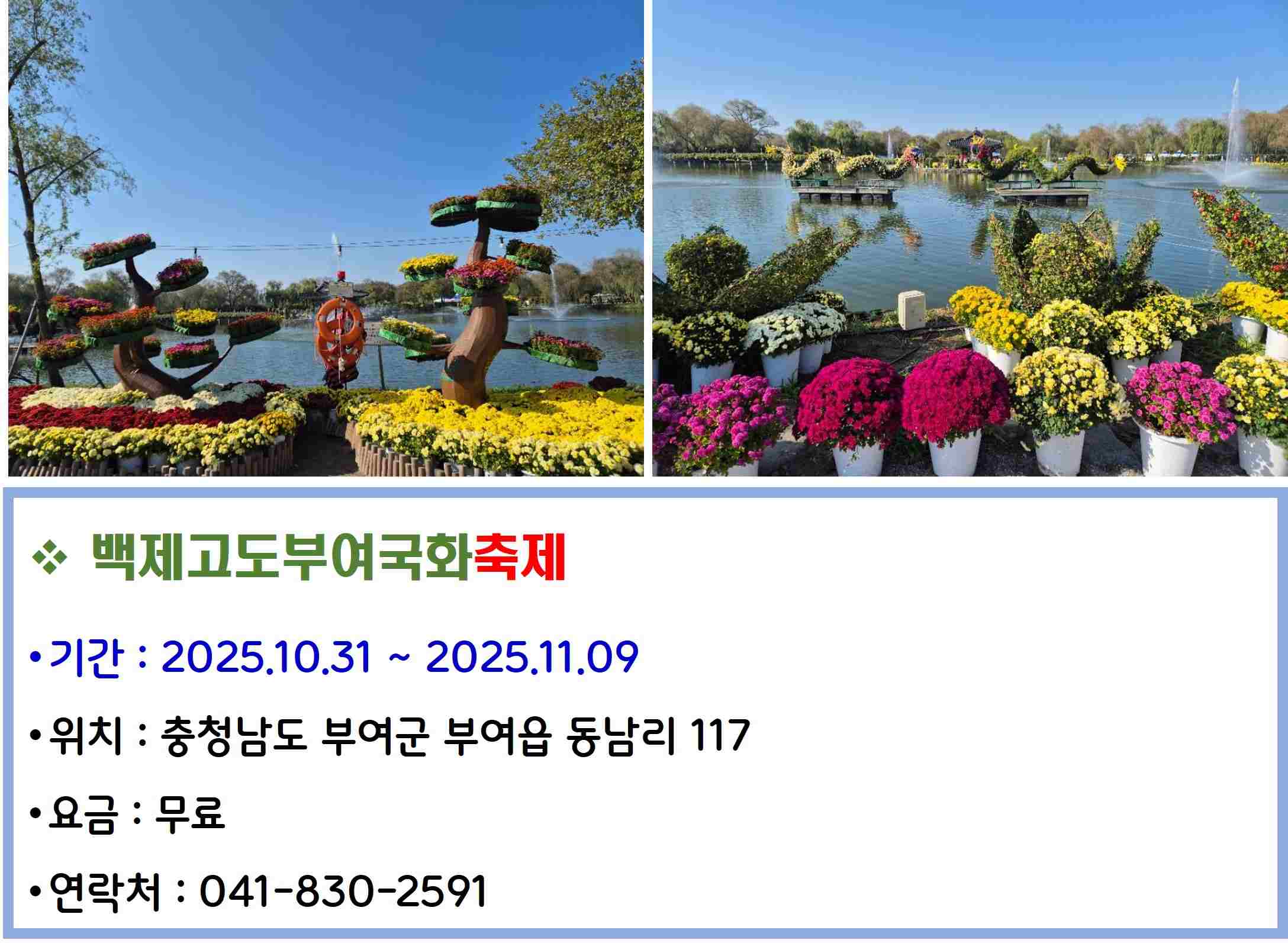 백제고도부여국화축제