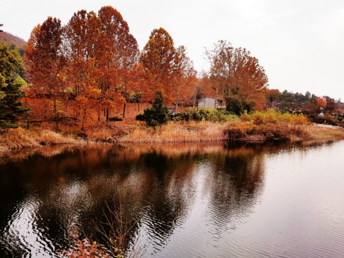 충북 단풍명소 TOP5 ❘ 가볼만한 곳 여행 추천 관련 사진