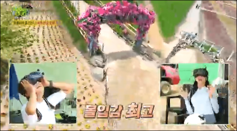 고석정 꽃밭 축제 안내