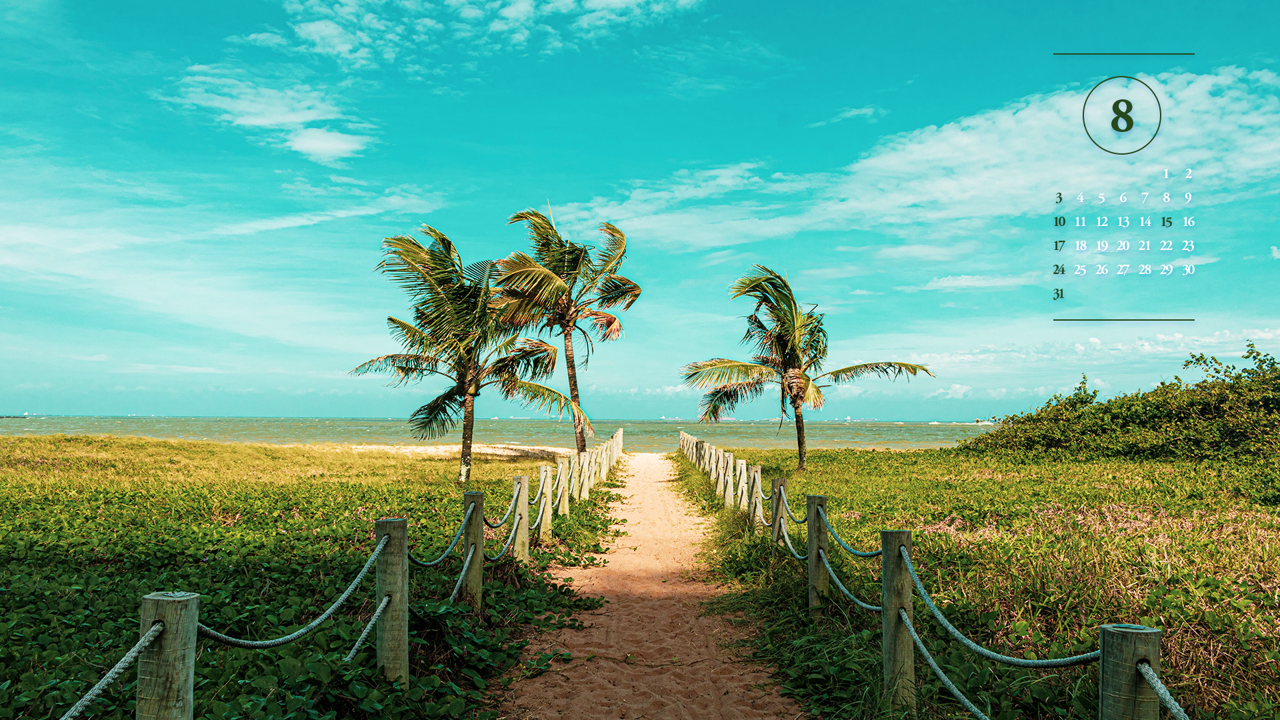 02 야자나무 A - 2025년8월 노트북배경화면