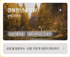 단풍여행지 추천