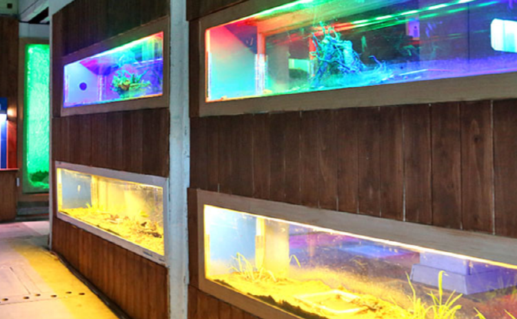 속초 테라크랩팜