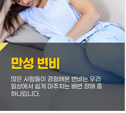 만성 변비의 원인