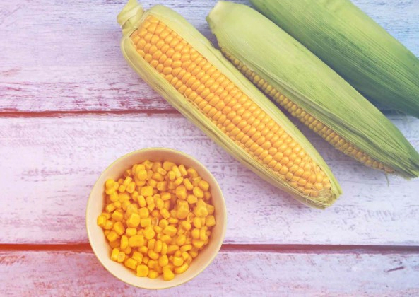 옥수수 효능 영양성분 칼로리 FAQ 자주 묻는 질문 