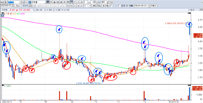 1월 27일 유엔젤 매매 차트