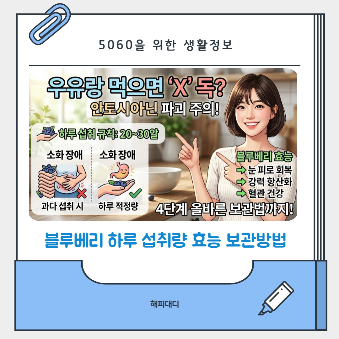 블루베리 하루 섭취량 효능 보관방법