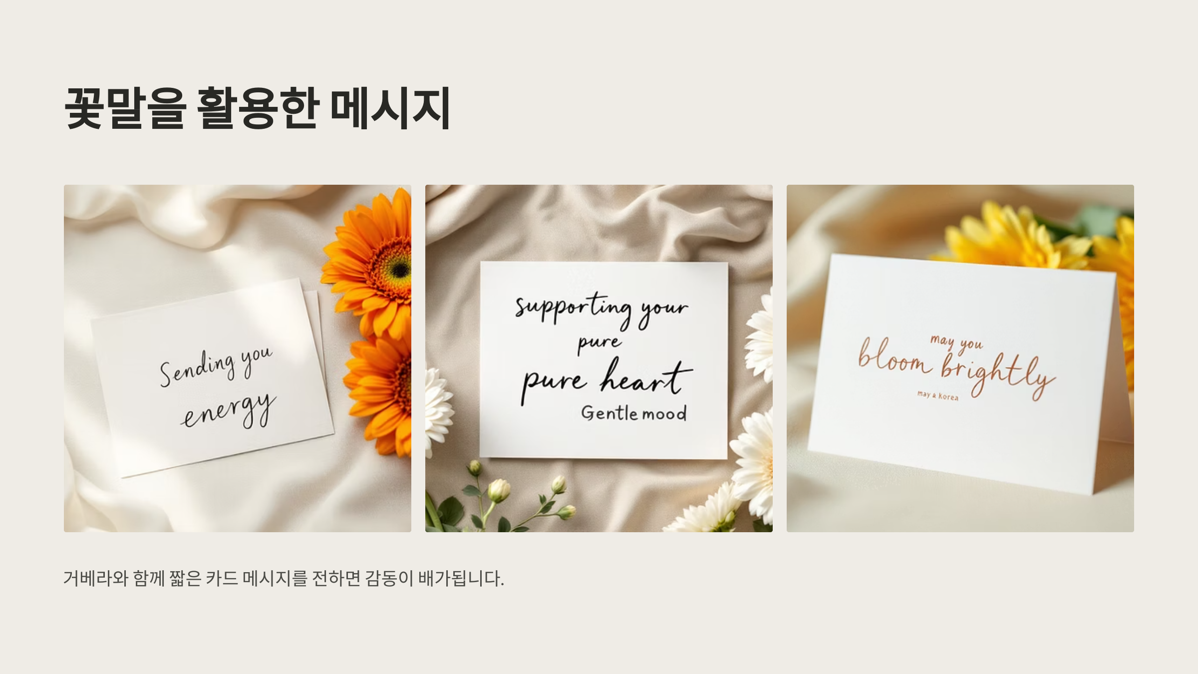 거베라 꽃말