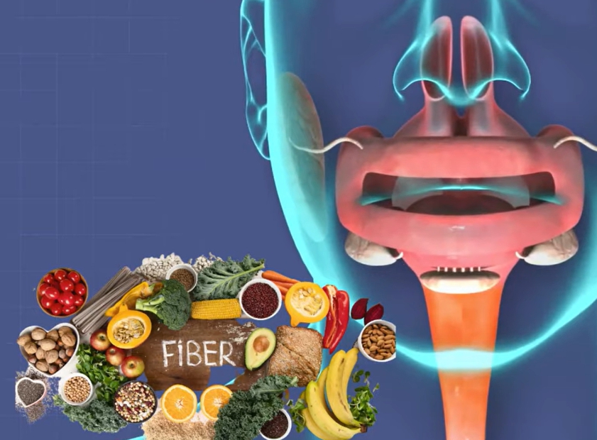 방귀 냄새가 지독해요