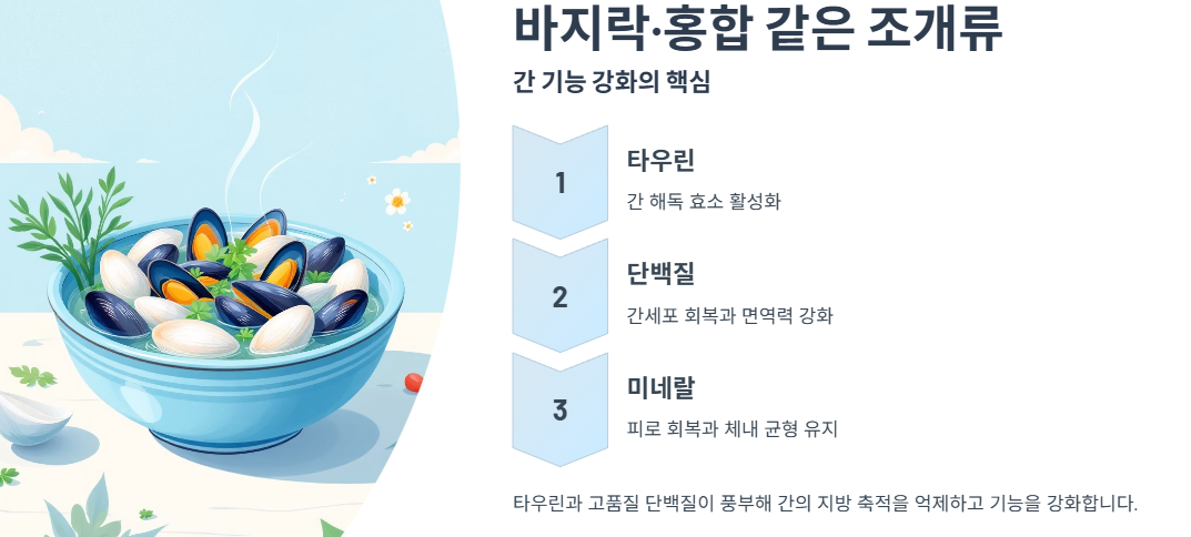바지락·홍합 같은 조개류 – 간 기능 강화