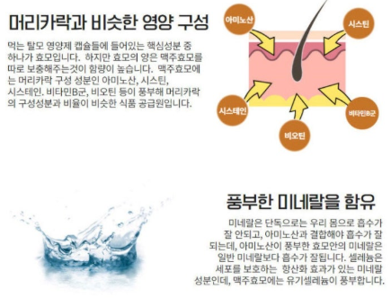 맥주효모의 효능