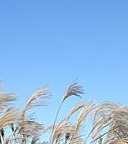 전국 수목원 BEST 5 – 자연의 품으로 떠나는 진짜 힐링 여행