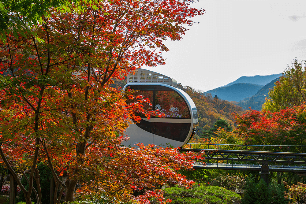 화담숲 예약 100% 성공하는 꿀팁