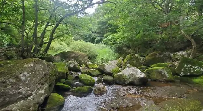 장성 물놀이 하기 좋은 계곡