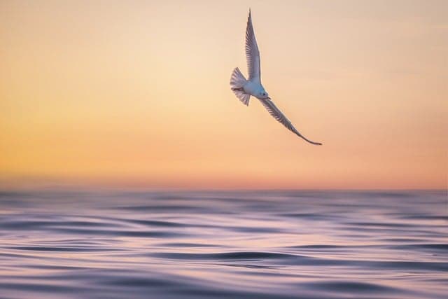 지속 가능한 브랜드 아이덴티티 구축을 위한 창의적 방법