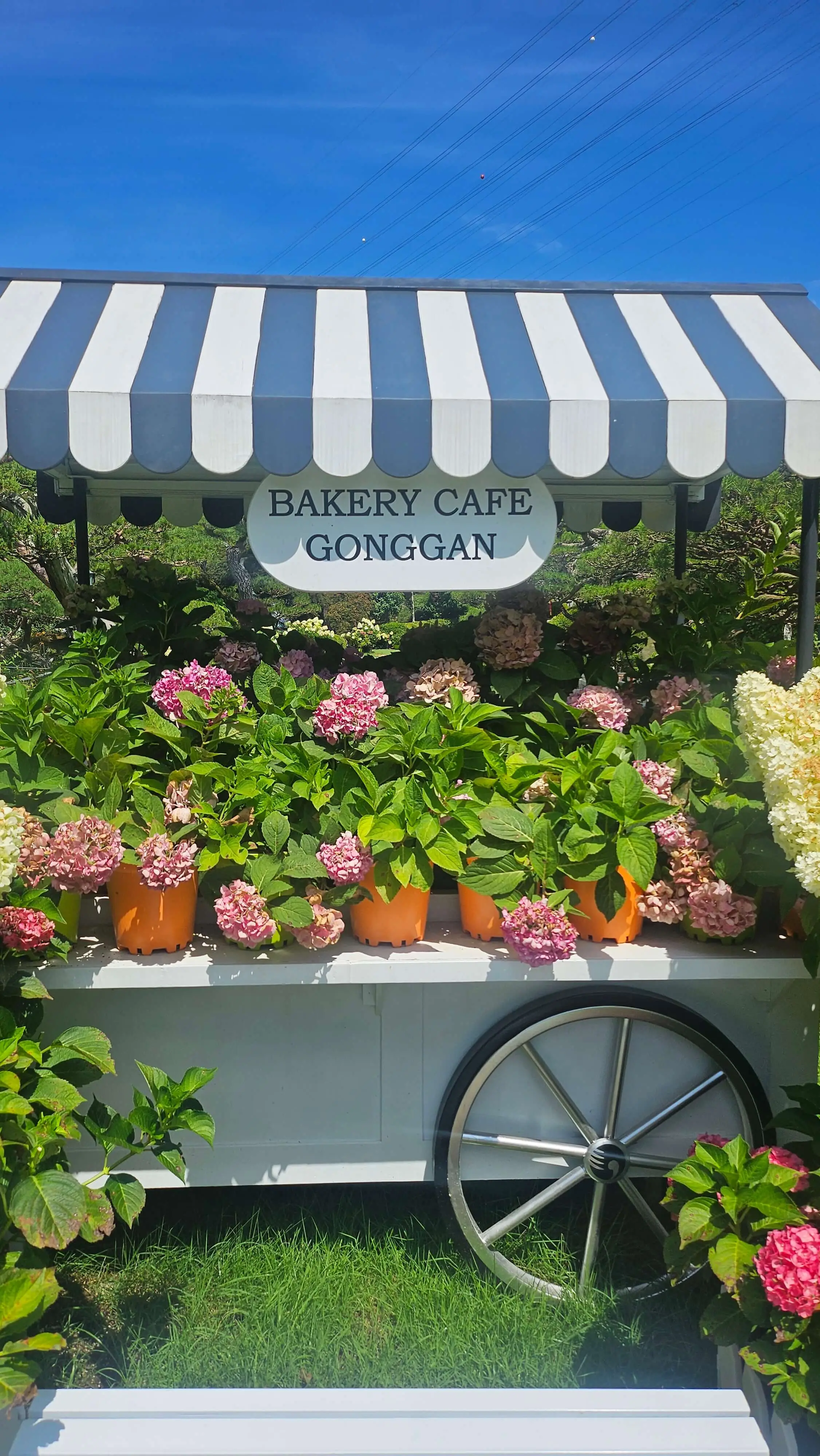 카페 &amp;#39;공간&amp;#39;