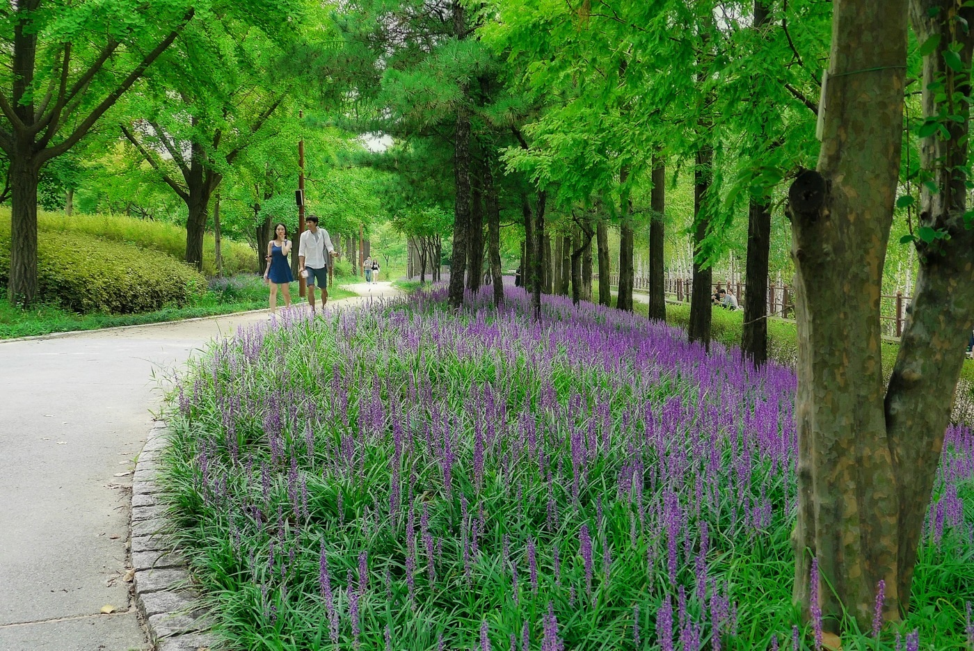 2014년 선유도공원 산책길 자료 사진. 현재 진입 통제 여부는 공식 공지로 확인하세요.