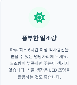 블루베리 키우기