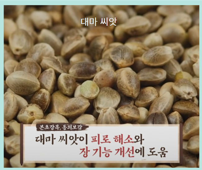 대마종자유 - 대마 씨앗