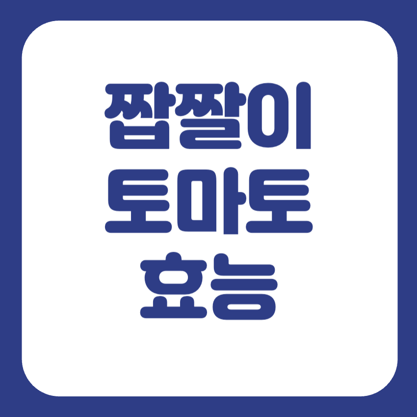 짭짤이토마토 뜻