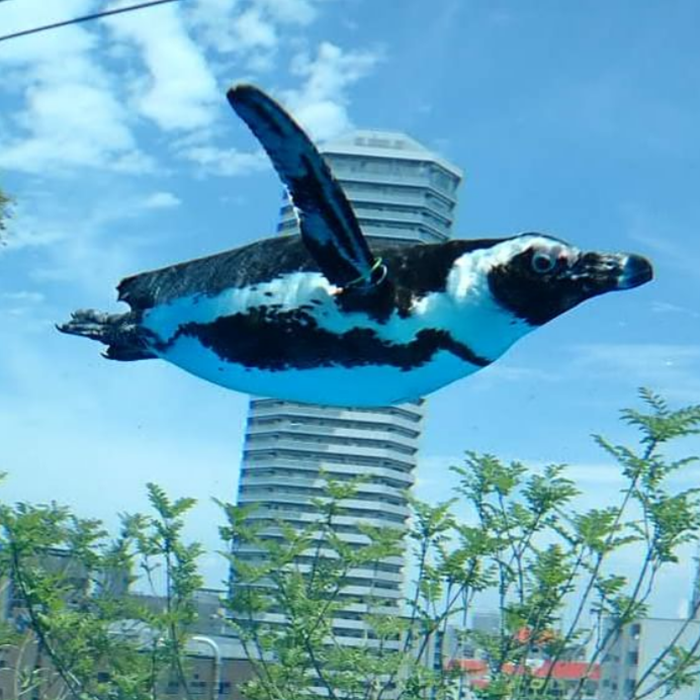 선샤인시티 아쿠아리움