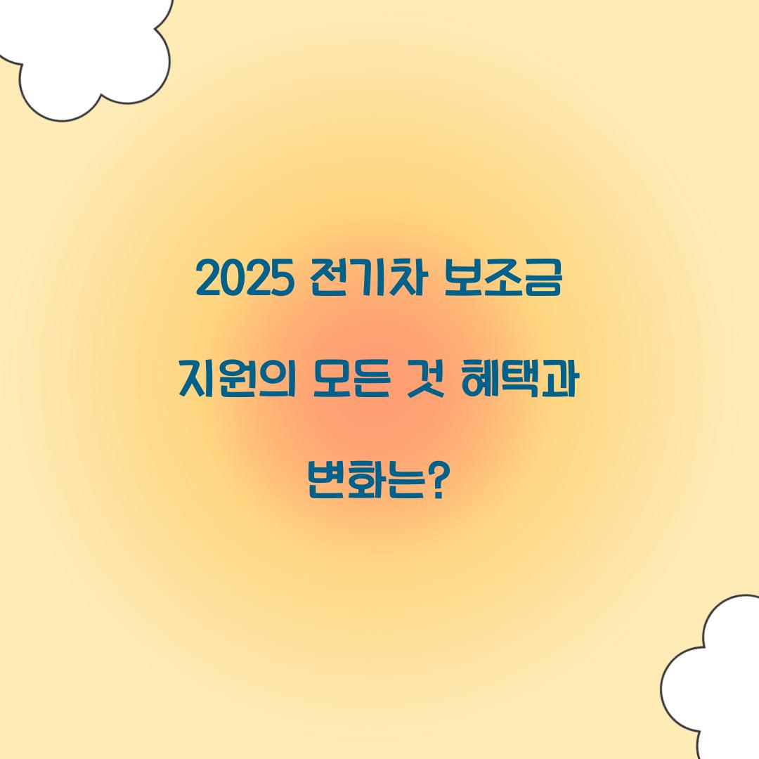 전기차 보조금
