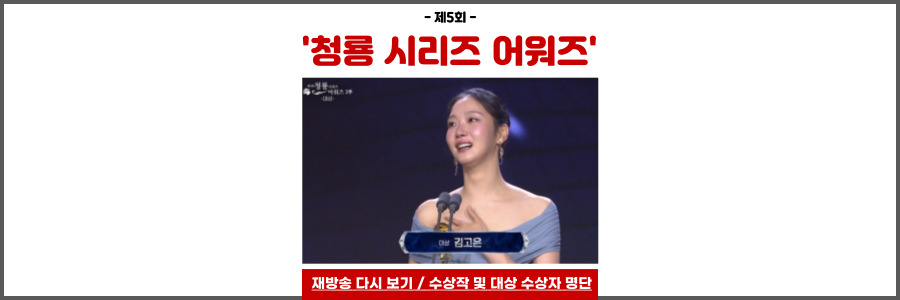 청룡 시리즈 어워즈