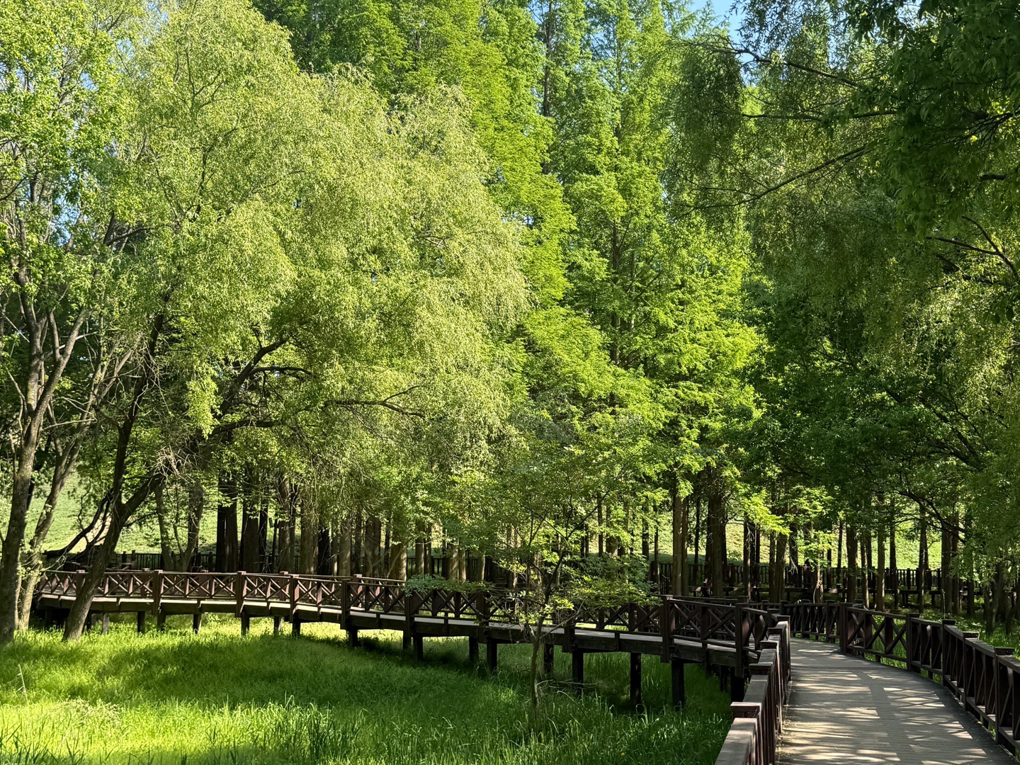 광주호호수생태원