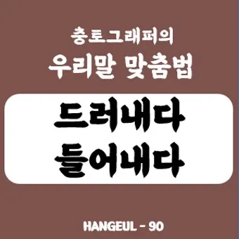 드러내다 들어내다 맞춤법 표현 예문_23