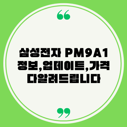 삼성전자 PM9A1
