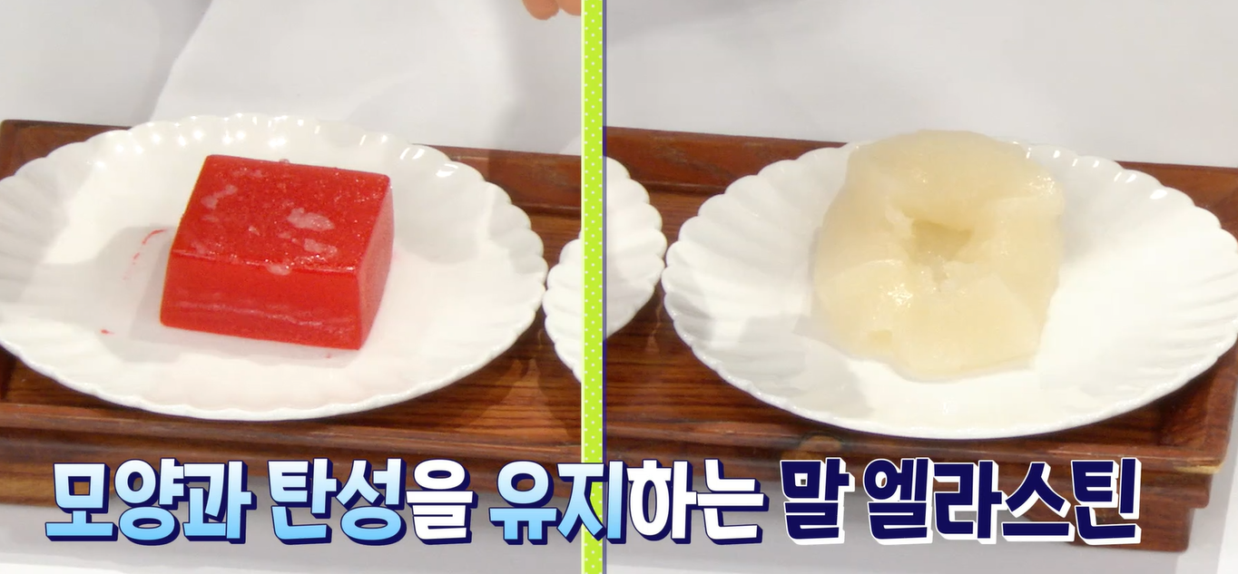 말 엘라스틴 효능