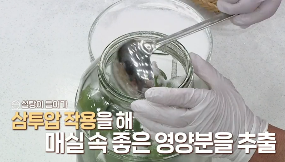 매실청 담그는 법