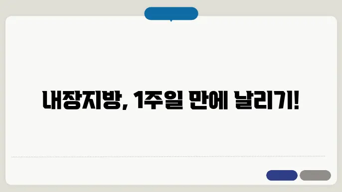 내장지방 빼는 운동 음식 약