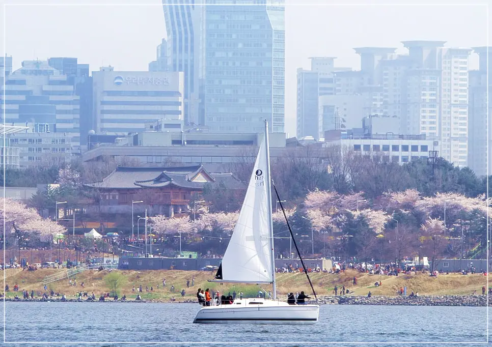 여의도봄꽃축제